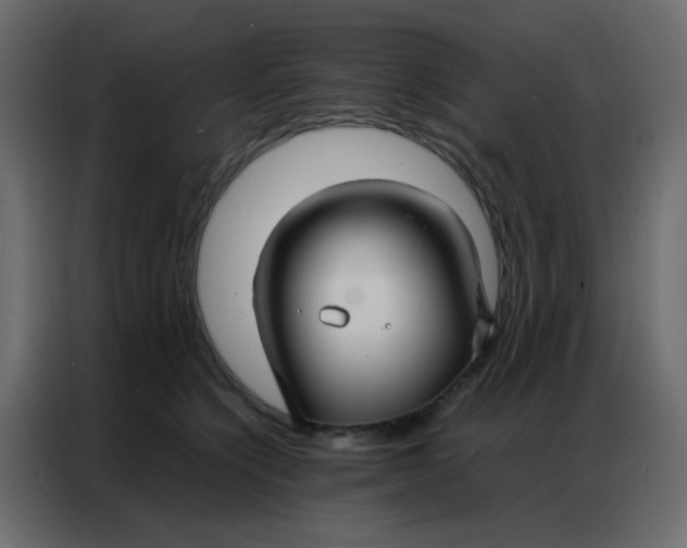 X0000086790564200705041550