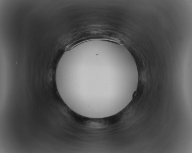 X0000086790567200705041550