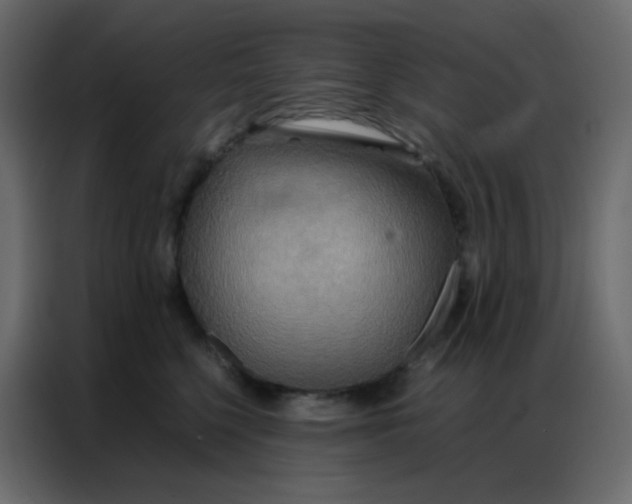 X0000086790568200705041550