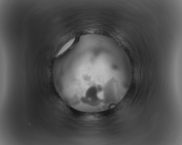 X0000086790569200705041550