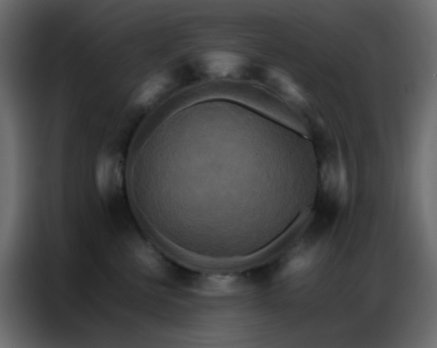 X0000086790570200705041550