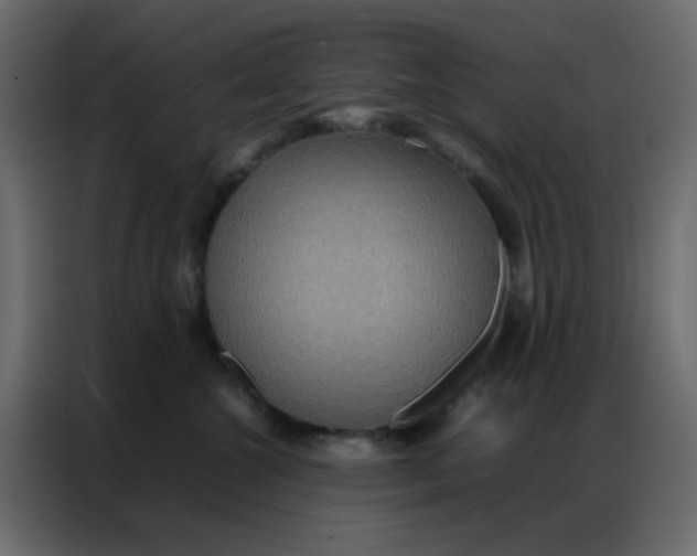 X0000086790572200705041550