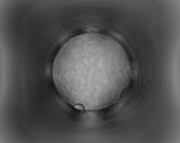 X0000086790573200705041550