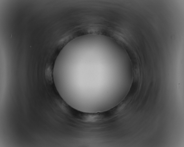 X0000086790575200705041550