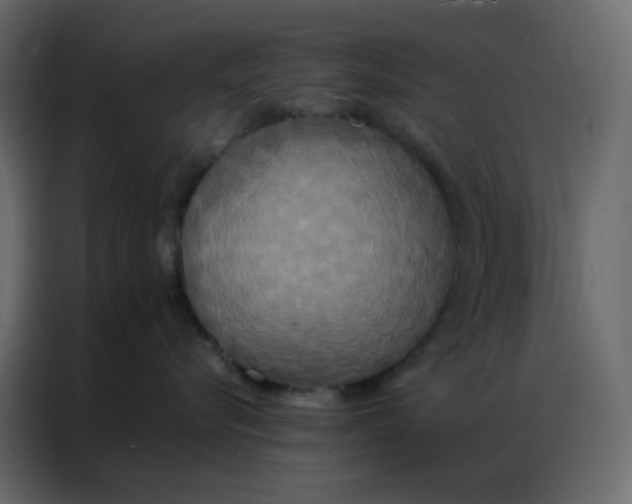 X0000086790576200705041550