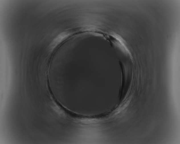 X0000086790577200705041550