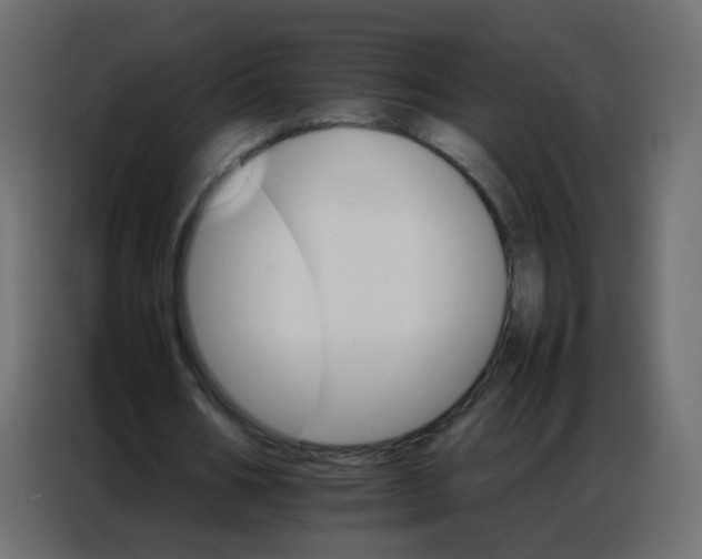 X0000086790578200705041550