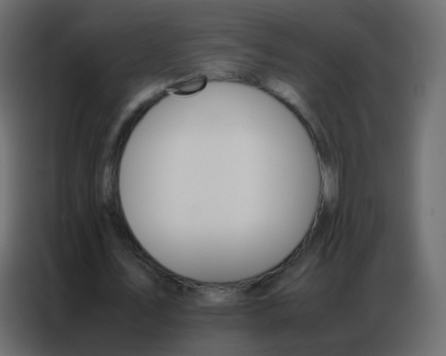 X0000086790579200705041550