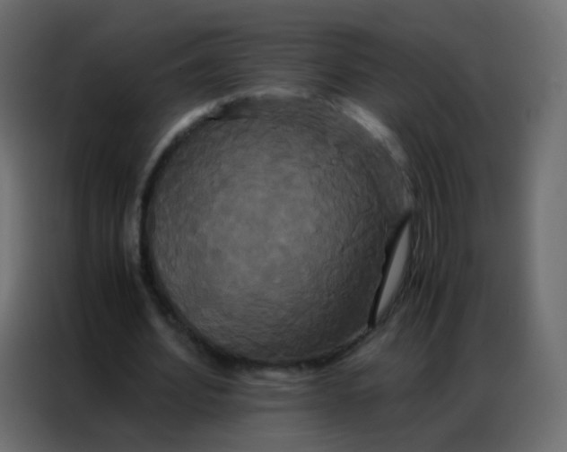 X0000086790580200705041550