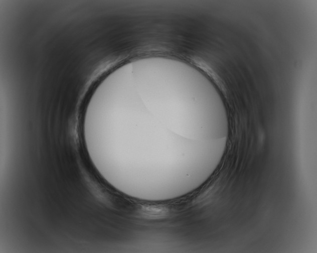 X0000086790582200705041550