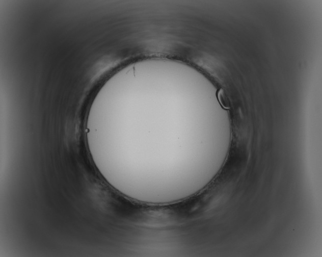 X0000086790583200705041550