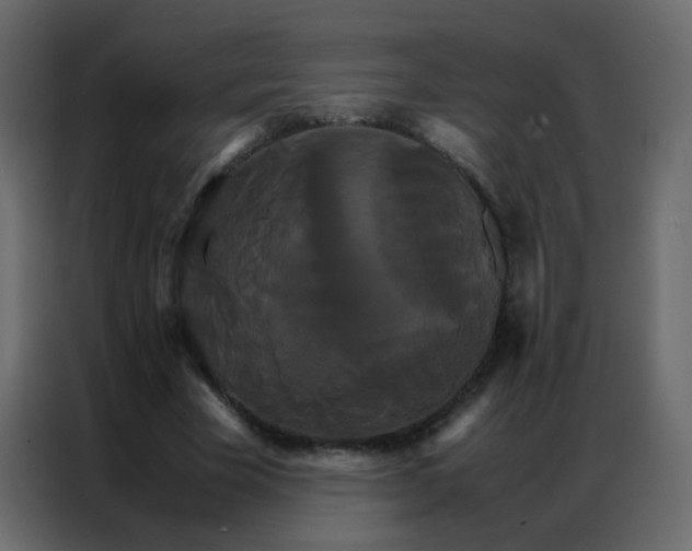 X0000086790585200705041550