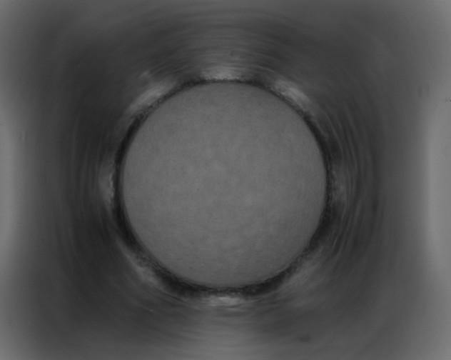 X0000086790586200705041550