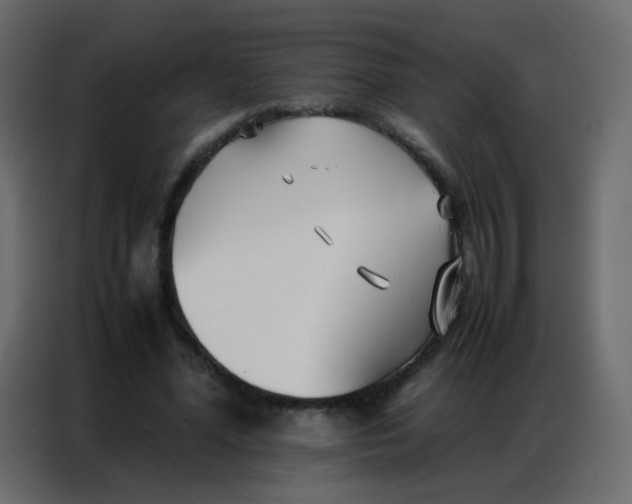 X0000086790588200705041550