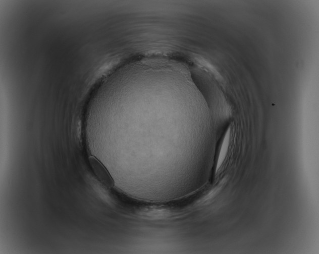 X0000086790589200705041550