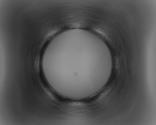 X0000086790590200705041550