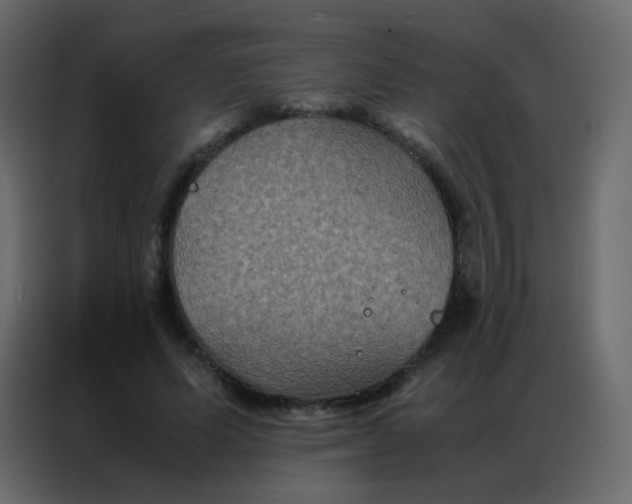 X0000086790591200705041550