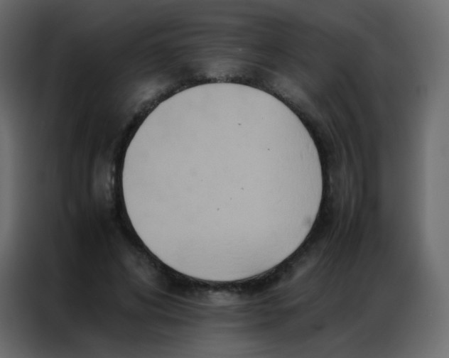 X0000086790592200705041550