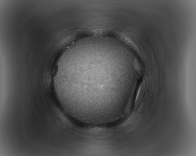 X0000086790593200705041550