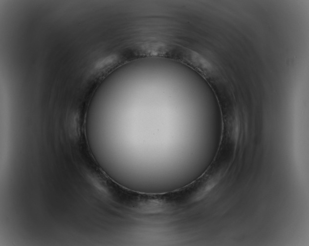 X0000086790594200705041550