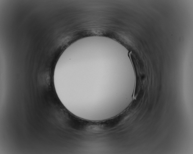 X0000086790595200705041550