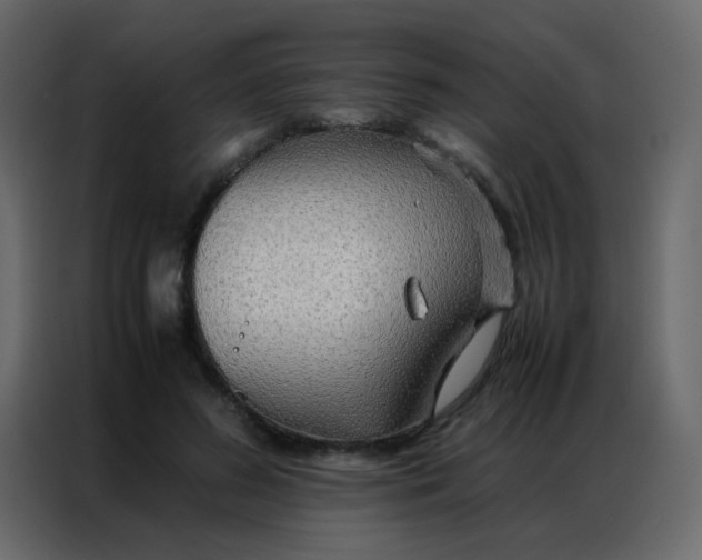 X0000086790596200705041550