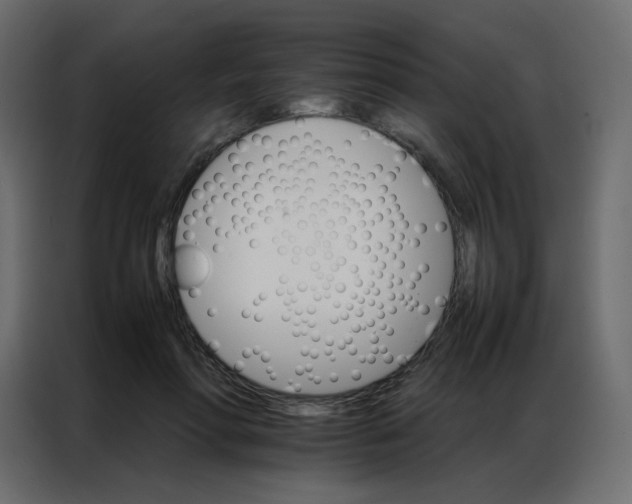 X0000086790598200705041550