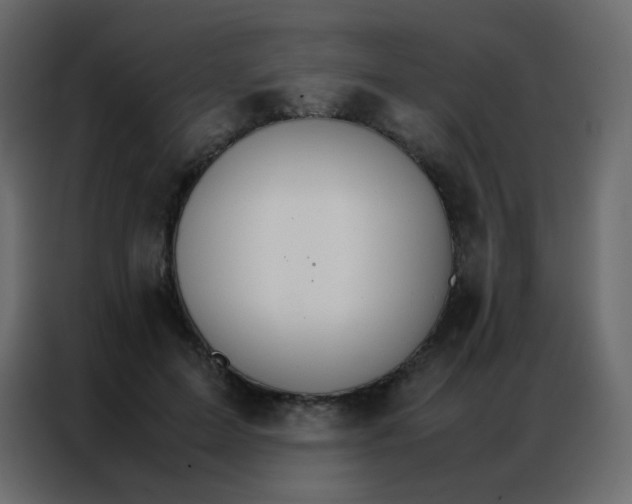 X0000086790599200705041550