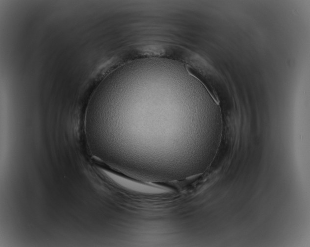 X0000086790600200705041550