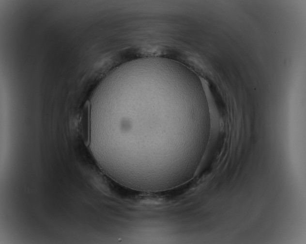 X0000086790601200705041550