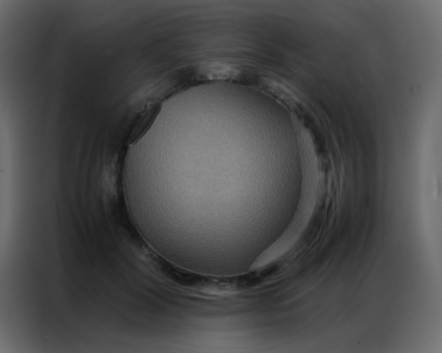 X0000086790604200705041550