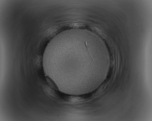 X0000086790605200705041550