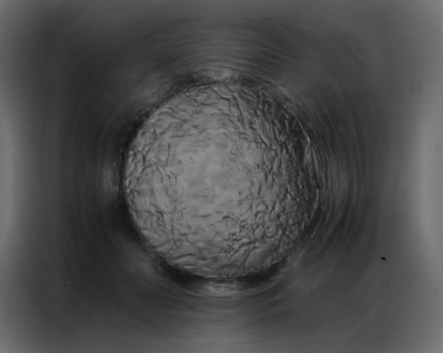 X0000086790606200705041550