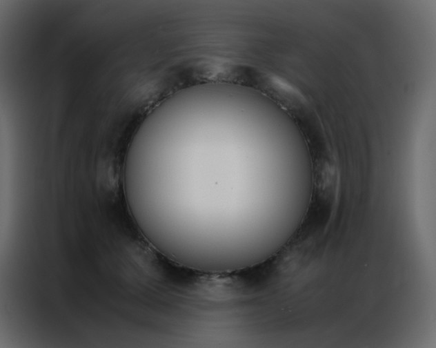 X0000086790607200705041549