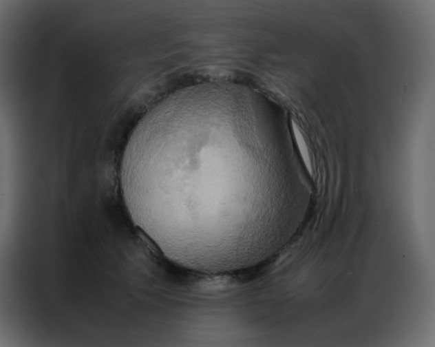 X0000086790609200705041549