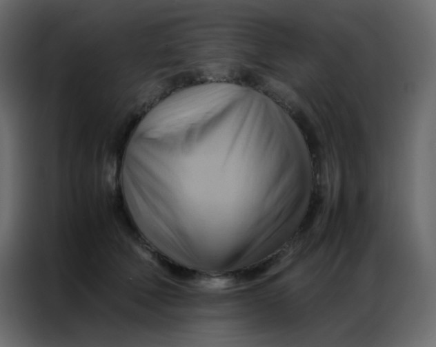 X0000086790610200705041549