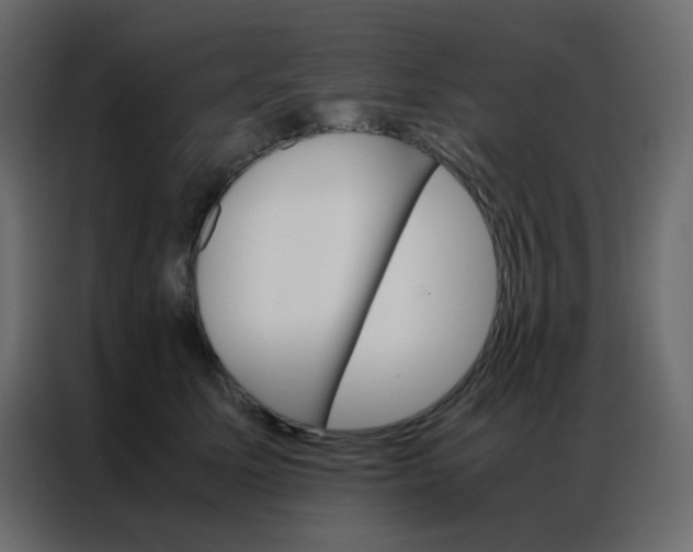 X0000086790611200705041549