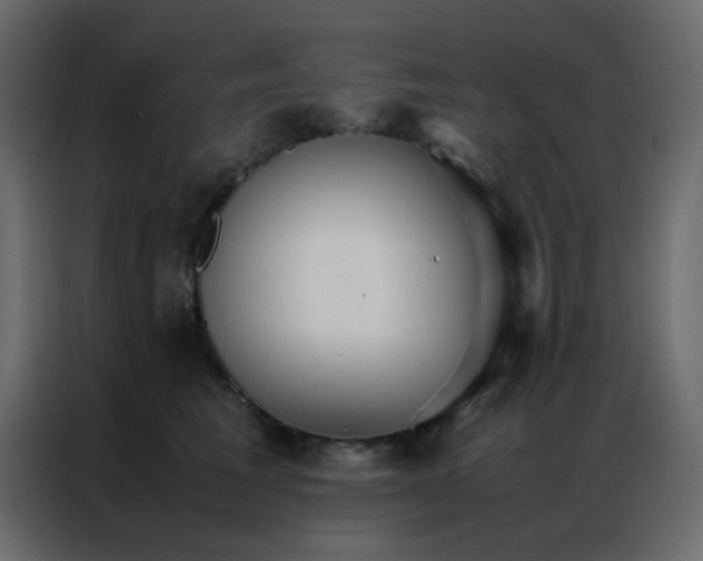 X0000086790613200705041549