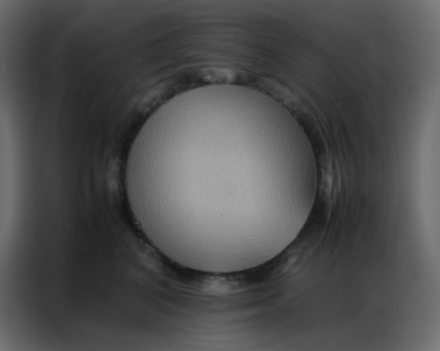 X0000086790616200705041549