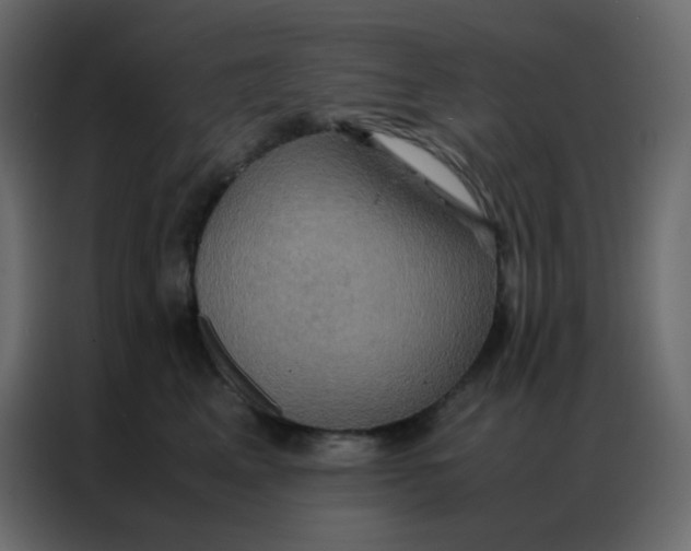 X0000086790617200705041549