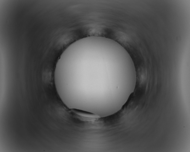 X0000086790619200705041549