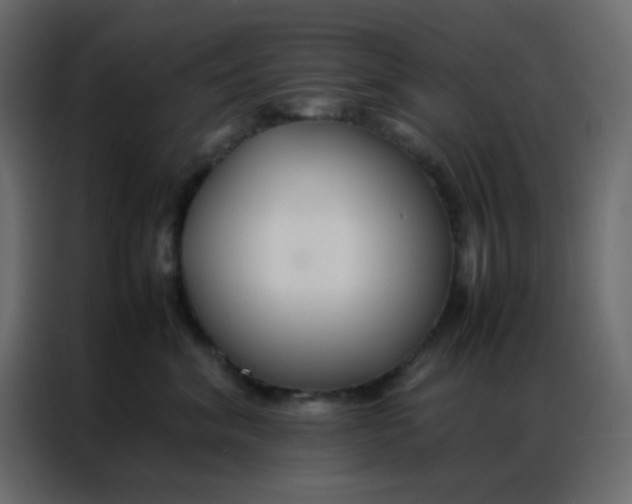 X0000086790620200705041549