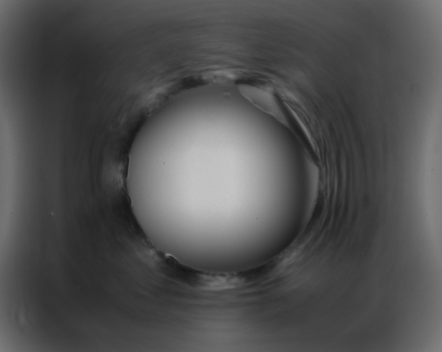 X0000086790621200705041549