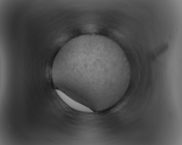 X0000086790624200705041549