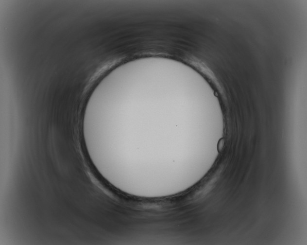 X0000086790625200705041549