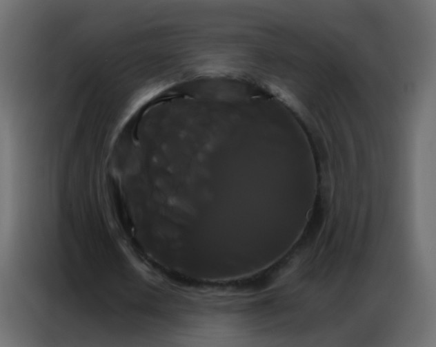 X0000086790626200705041549