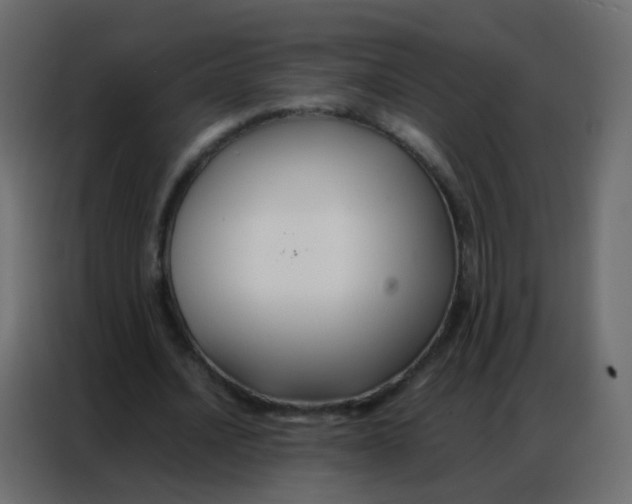 X0000086790628200705041549