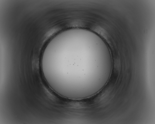 X0000086790629200705041549