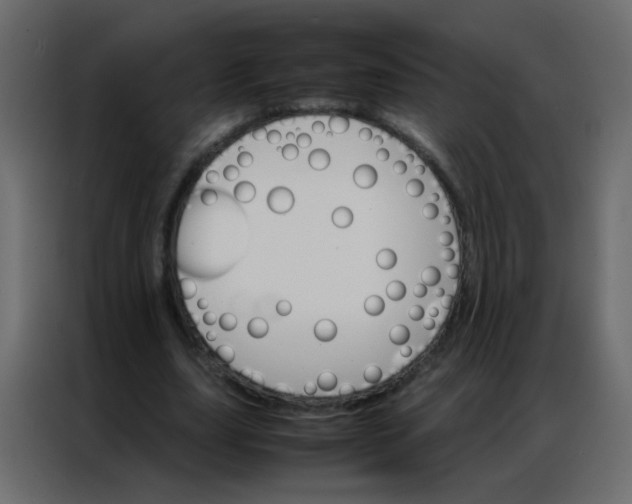 X0000086790631200705041549