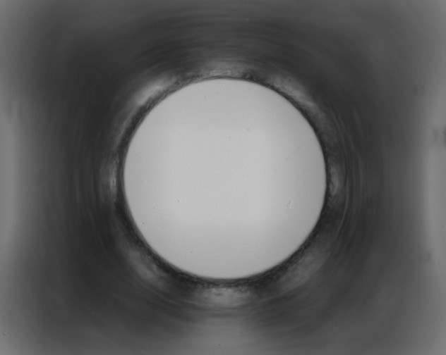 X0000086790632200705041549